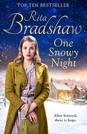 Couverture du produit · One Snowy Night