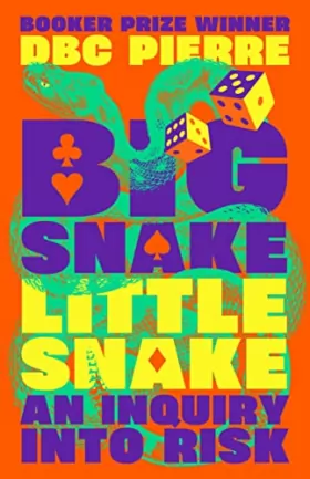 Couverture du produit · Big Snake Little Snake: An Inquiry into Risk
