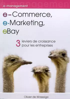 Couverture du produit · e-Commerce, e-Marketing, eBay : 3 Leviers de croissance pour les entreprises