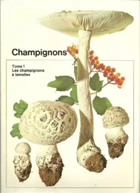 Couverture du produit · Champignons. tome 1: les champignons à lamelles. Jacob Schlittler.