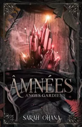 Couverture du produit · Âmnées: Anges gardiens