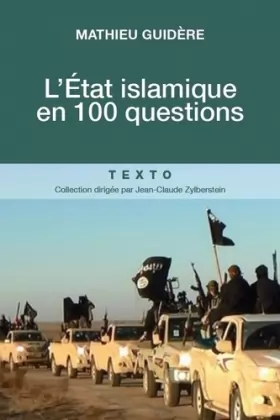 Couverture du produit · L'Etat islamique en 100 questions