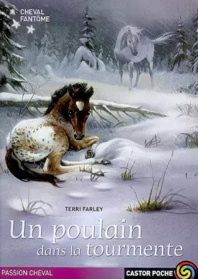 Couverture du produit · Cheval fantôme, Tome 5 : Un poulain dans la tourmente