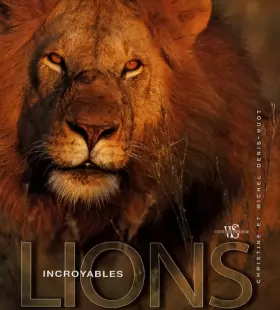 Couverture du produit · Incroyables lions