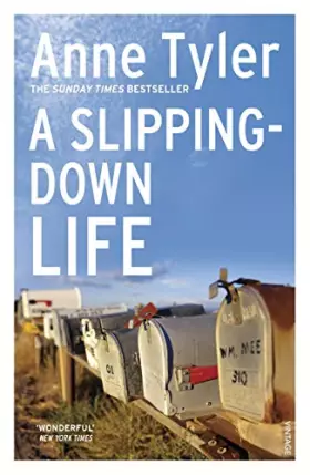 Couverture du produit · A Slipping Down Life