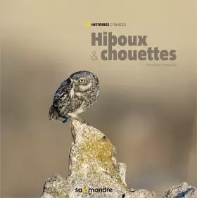 Couverture du produit · Hiboux & Chouettes