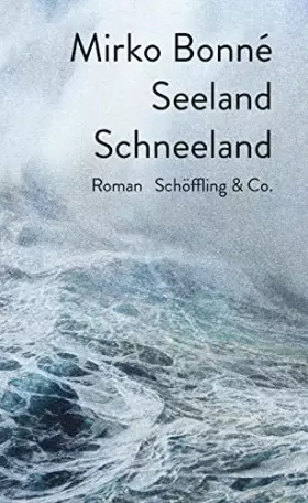 Couverture du produit · Seeland Schneeland: Roman