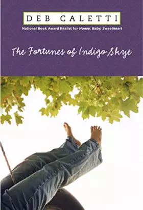 Couverture du produit · The Fortunes of Indigo Skye