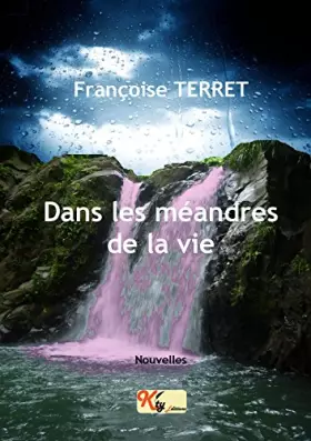 Couverture du produit · Dans les Méandres de la vie