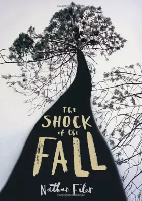 Couverture du produit · The Shock of the Fall by Filer. Nathan ( 2013 ) Hardcover