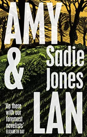 Couverture du produit · Amy and Lan: The enchanting new novel from the Sunday Times bestselling author of The Outcast