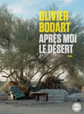 Couverture du produit · Après moi le désert