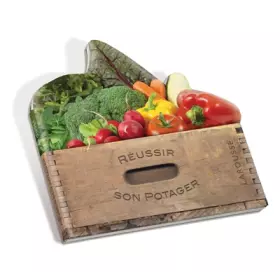 Couverture du produit · Réussir son potager (panier de légumes)