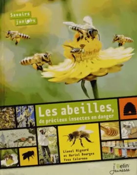 Couverture du produit · Les abeilles - de précieux Insectes en danger (Ned)