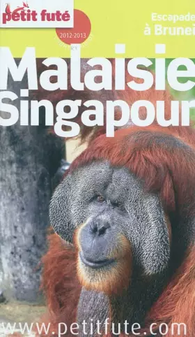 Couverture du produit · Petit Futé Malaisie - Singapour : Escapades à Brunei