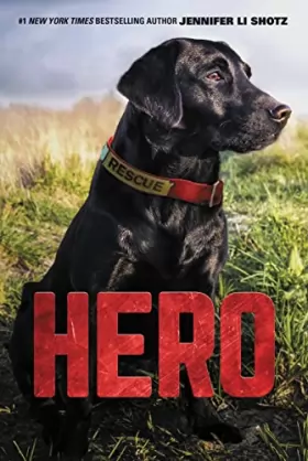 Couverture du produit · Hero (Hero, 1)