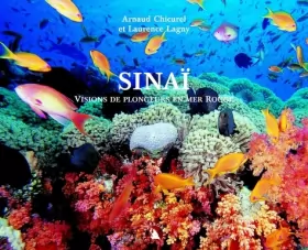 Couverture du produit · Sinaï. Visions de plongeurs en mer Rouge