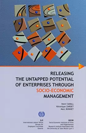Couverture du produit · Releasing the untapped Potential of Enterprises through socio-economic Management