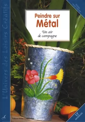 Couverture du produit · Peindre sur métal: Un air de métal