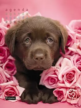 Couverture du produit · Agenda Perpetuel Chien