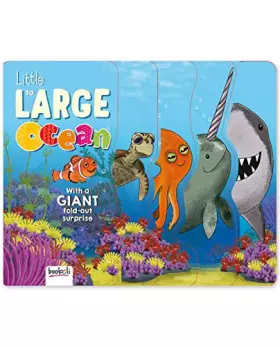 Couverture du produit · Under the Sea: Little to Large