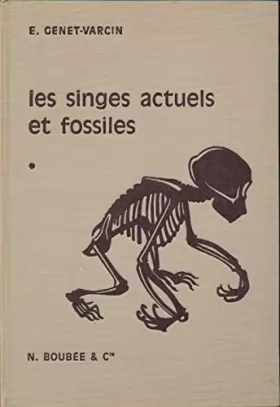 Couverture du produit · Eléments de primatologie : Les singes actuels et fossiles - Préface de Jean Piveteau - Avec 97 figures et 24 planches - Dessins