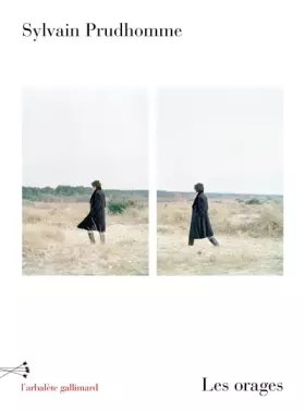 Couverture du produit · Les orages