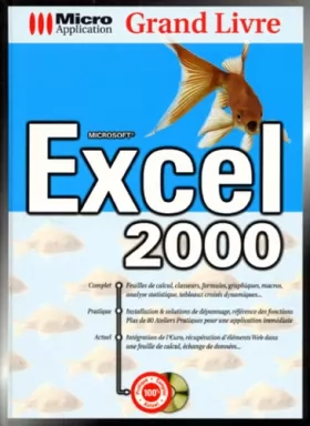 Couverture du produit · Grand livre Excel 2000