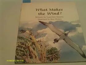 Couverture du produit · What Makes the Wind?