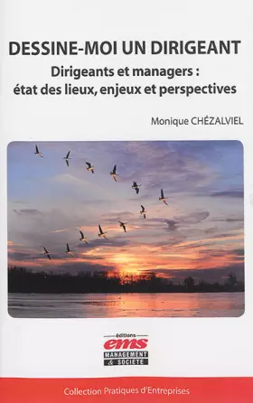 Couverture du produit · Dessine-moi un dirigeant : Dirigeants et managers, état des lieux, enjeux et perspectives