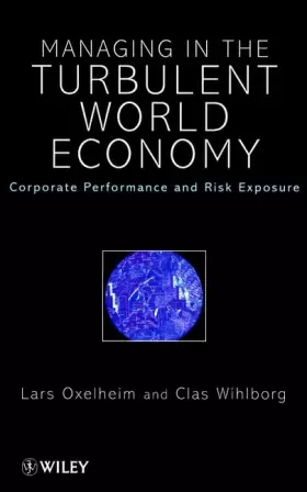 Couverture du produit · Managing in the Turbulent World Economy: Corporate Performance and Risk Exposure
