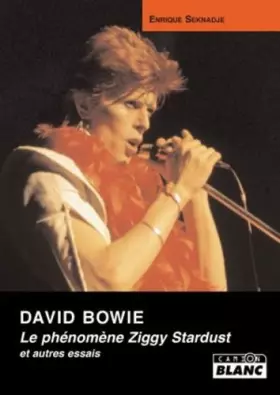 Couverture du produit · DAVID BOWIE Le Phénomène Ziggy Stardust