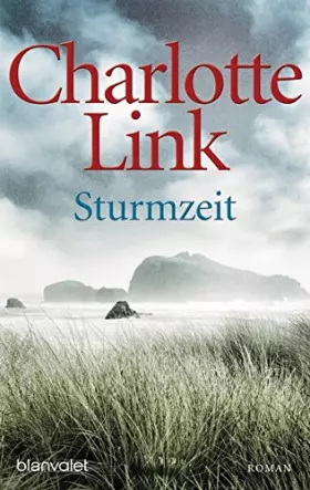 Couverture du produit · Sturmzeit