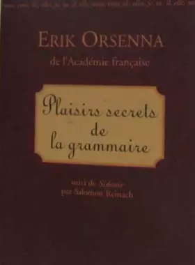 Couverture du produit · Plaisirs secrets de la grammaire