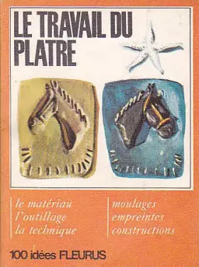 Couverture du produit · Le travail du Platre 100 idées
