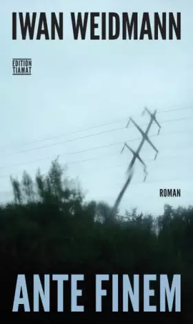 Couverture du produit · Ante Finem