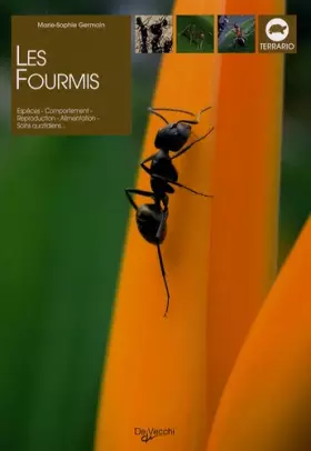 Couverture du produit · Les fourmis
