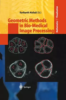 Couverture du produit · Geometric Methods in Bio-Medical Image Processing