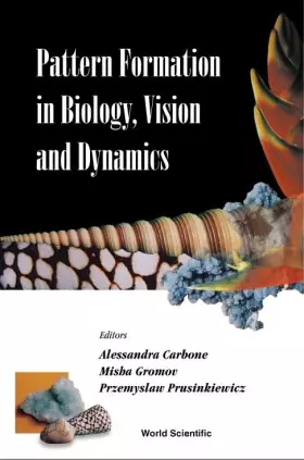 Couverture du produit · Pattern Formation in Biology, Vision and Dynamics