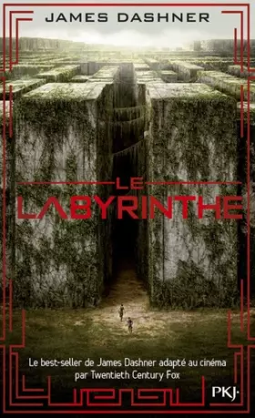 Couverture du produit · 1. Le labyrinthe (1)
