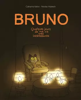 Couverture du produit · Bruno - Quelques jours de ma vie très interessante