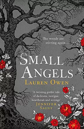 Couverture du produit · Small Angels: 'A twisting gothic tale of darkness, intrigue, heartbreak and revenge' Jennifer Saint