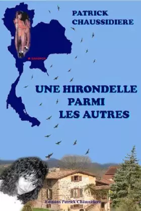 Couverture du produit · UNE HIRONDELLE PARMI LES AUTRES