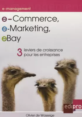 Couverture du produit · e-Commerce, e-Marketing, eBay : 3 Leviers de croissance pour les entreprises