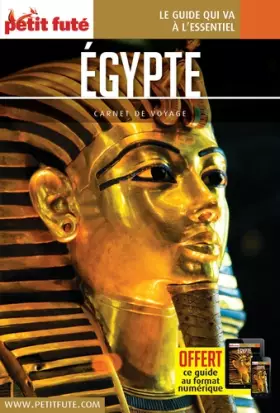 Couverture du produit · Guide Egypte 2019 Carnet Petit Futé