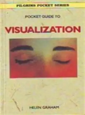 Couverture du produit · Pocket Guide to Visualization