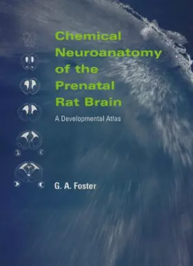Couverture du produit · Chemical Neuroanatomy of the Prenatal Rat Brain: A Developmental Atlas