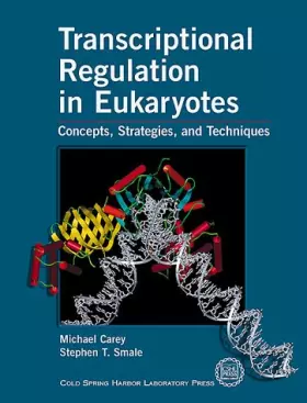 Couverture du produit · Transcriptional Regulation in Eukaryotes: Concepts, Strategies, and Techniques