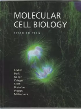 Couverture du produit · Molecular Cell Biology.: 6th Edition