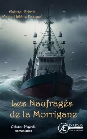 Couverture du produit · Les naufragés de la Morrigane